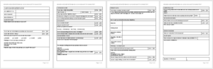 Caregiver Interview-full preview of template-wise caregiving