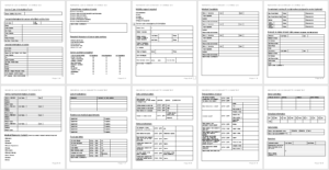 Senior Care Information Form Template-full preview-Hire Private-wise caregiving